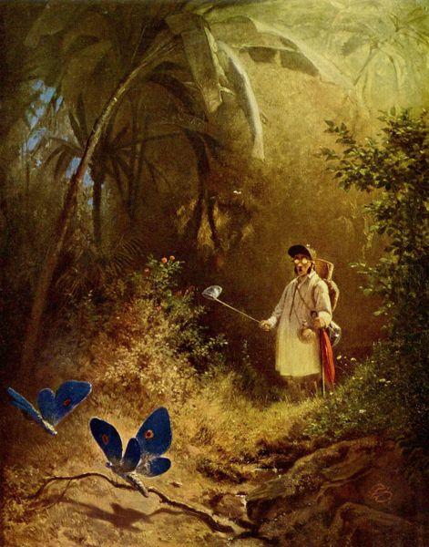 Carl Spitzweg Der Schmetterlingsjager oil painting picture
